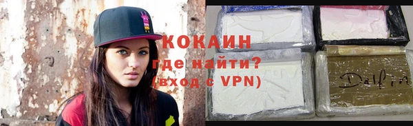 сатива Инта