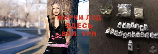 сатива Инта