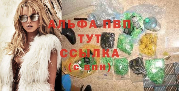 твердый Иннополис