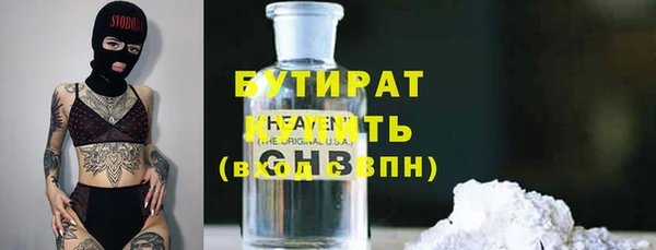 сатива Инта