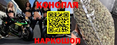 прущие крисы Кандалакша