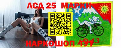 дмт Камышлов