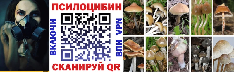 наркошоп  Кропоткин  Галлюциногенные грибы Psilocybe 