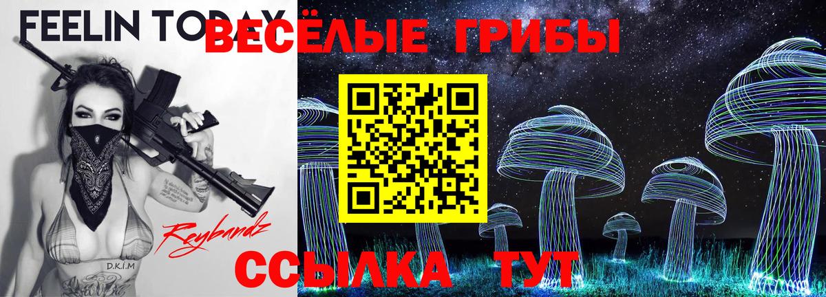 Псилоцибиновые грибы Cubensis Кропоткин