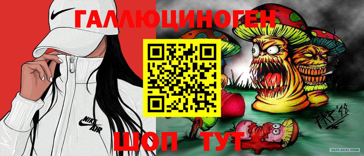 Кропоткин  Галлюциногенные грибы Psilocybe  Вход с VPN 